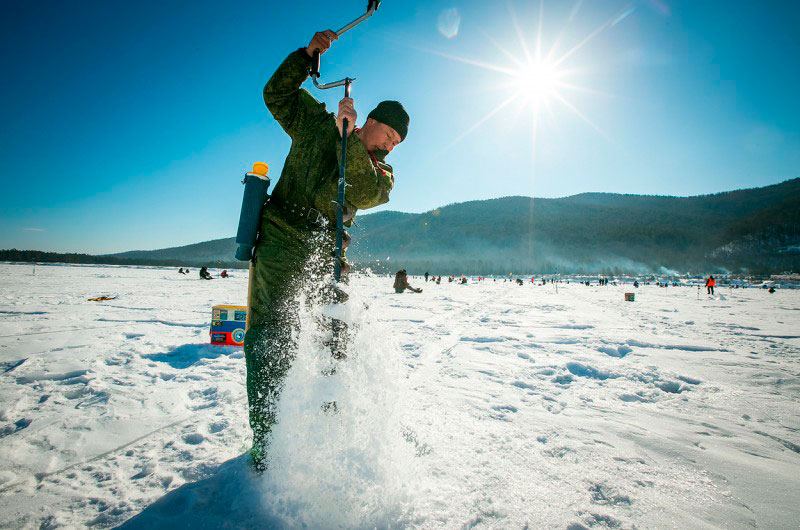 Dónde permanecen los peces bajo el hielo durante todo el invierno: un análisis práctico